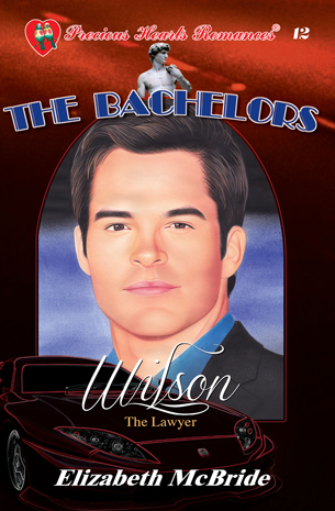 The Bachelors Book 12: Wilson, The Lawyer